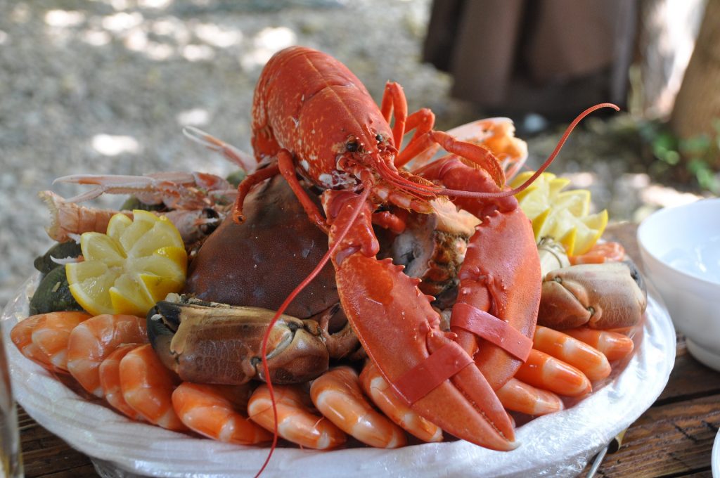 ilustrasi seafood